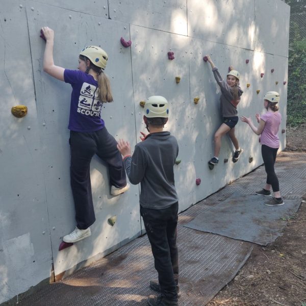 Low Ropes - Woodhouse Park Activity Centre