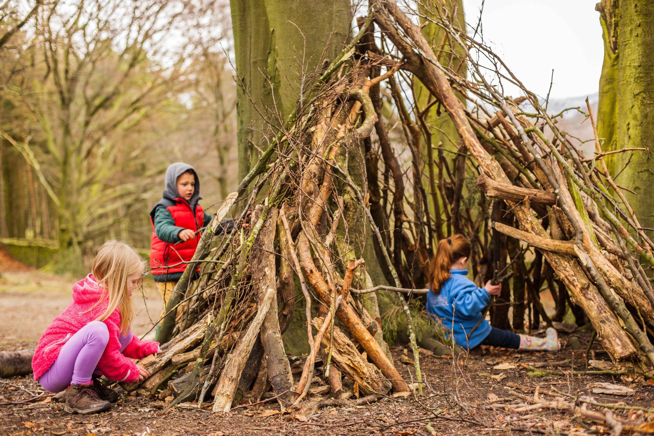 Read more about the article Den Building